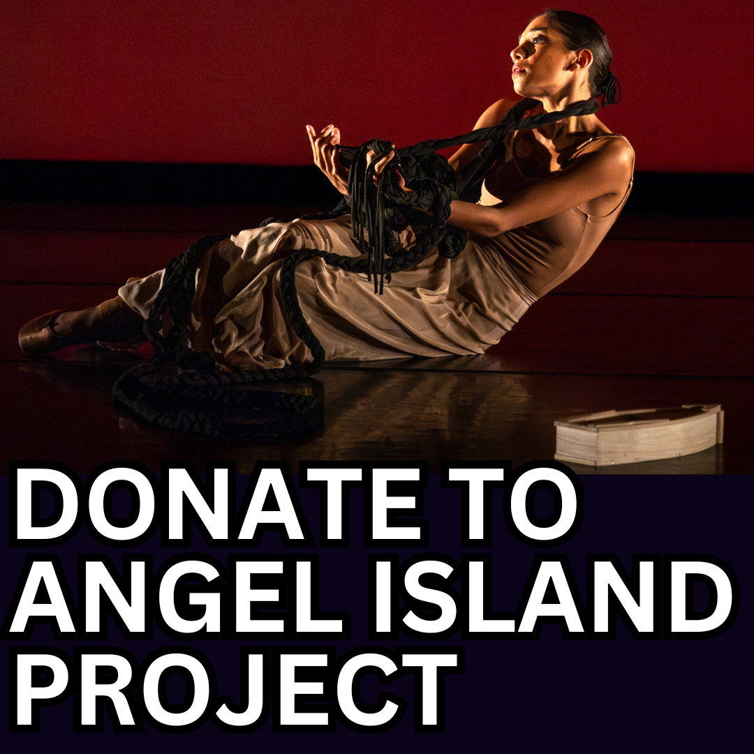 Donate to Angel Island Project